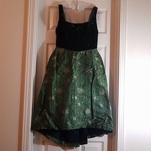 Catherine Regehr Dress